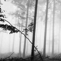 Ayr : Nothing Left to Give